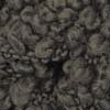 209681 - Babouin