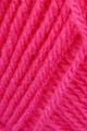 22183 - Nerine