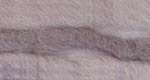 204.661 - Chinchilla - New