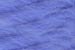 208.411 - Myosotis