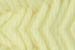 223.781 - Poussin