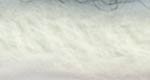 207.391 - Avalanche