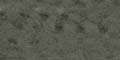 224.591 - Otarie
