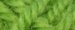207.931 - Pelouse