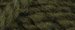 204.991 - Savane