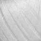 224.041 - Cygne