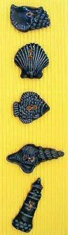 BC88 - Black Sea Shells