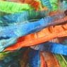 04 - Parrot - 1 left