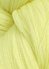 05 - Baby Yellow