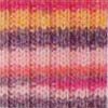 2281 - Multi Ringel