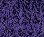 61 - Hana Silk 61