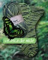 2037 - Rainforest 3 - 2037