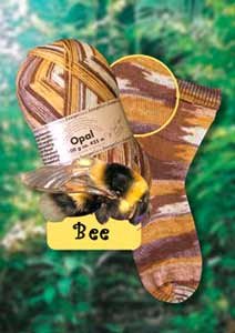 1613 - Rainforest 2 - Bee