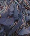 08 - Denim Blue - New