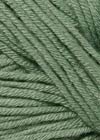 081 - Nettle