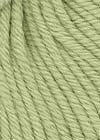 58 - Fig Leaf - New
