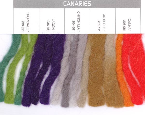 Bergere de France Shade Card