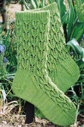 Fiber Trends Patterns