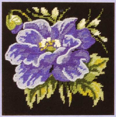 Glorafilia Blue Poppy